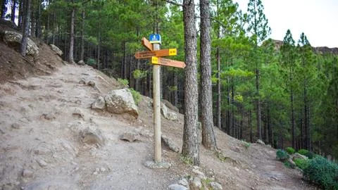 Path that leads to the mountain Stock Photos