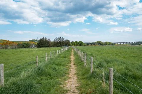 Path leads through fields to viaduct Stock Photos