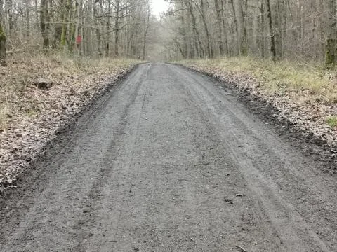 Path that leads through the forest Stock Photos