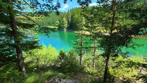 Path leads through pine trees to vibrant turquoise lake. Black Lake, Montenegro Stockbeeldmateriaal 342973284
