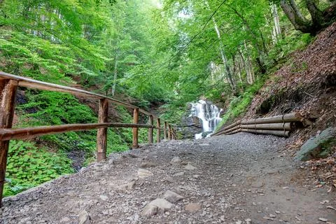 Path leads to waterfall surrounded by trees in forest during daytime Photos