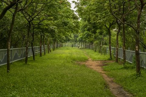 The path led by the fence is covered with numbered greenery Stock Photos