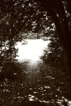 Path Into The Light Stock Photos