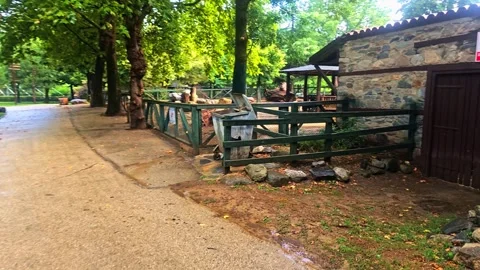 A path that is lined. Stock-Footage 282625138