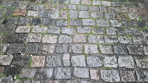 A path lined with gray stones. Stock Footage 277565088