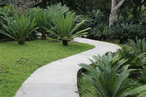 A path is lined with green plants and a few trees Stock Photos