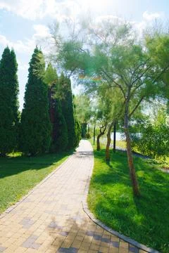 A path lined with paving slabs in the park. a walk in the garden. Stock Photos