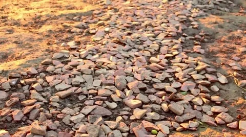 Path lined with stones Stock Footage 64044370