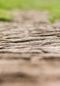 Path lined with tree bark close-up.... path lined with tree bark close-up.. Stock Photos