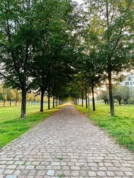 A path lined with trees and a brick walkway Stock-Fotos