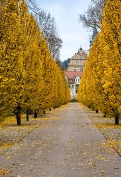 A path lined with trees and leaves leads to a building Stock Photos