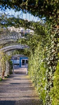 A path lined with various trees Foto stock
