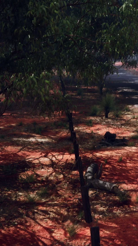 Path lined with wooden posts under trees on a red dirt surface in daylight Stock Footage 340281192