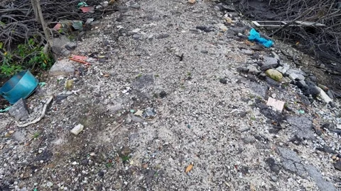 A path is littered with trash and debris Видео 314391216