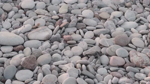 Path of little turtle to ocean 스톡 동영상 130751001