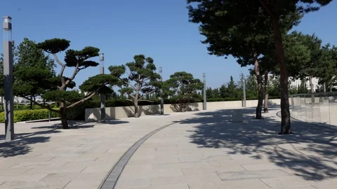 Path in a lush green park in front of the stadium Krasnodar Stock Footage 120752955