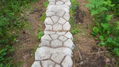 The path is made of stone tiles. A path in a Park or forest. Video in motion. Stock Footage 137214126