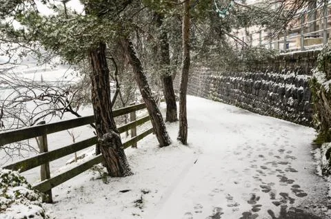 A path marked with snow. Stock Photos