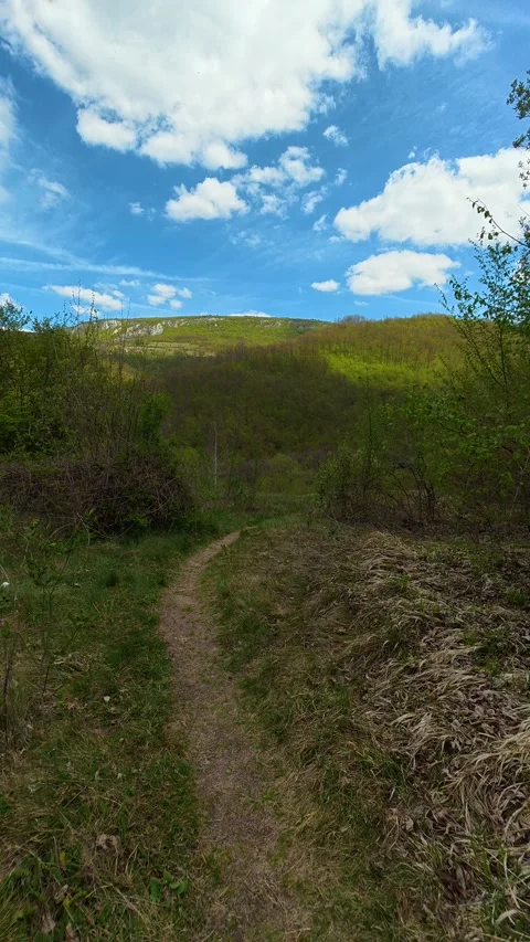 Path meanders through tall grass. Bigar Waterfall, Serbia. Vertical Vidéo 333699873