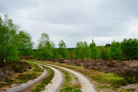 Path in the middle of countryside 库存照片