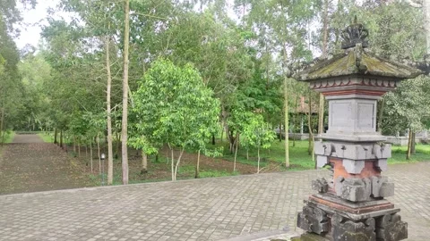 The path in the middle of the forest leads to Dalem Balingkang Temple, Bali. 库存影片 232207453