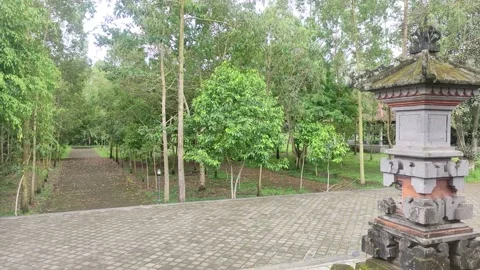 The path in the middle of the forest leads to Dalem Balingkang Temple, Bali. 動画素材 232207471