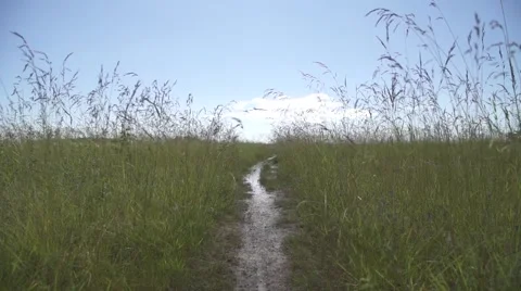 Path in the middle of the grass - slowmotion Stock Footage 53041532