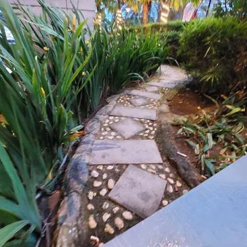 Path in the middle of the park Stock Photos