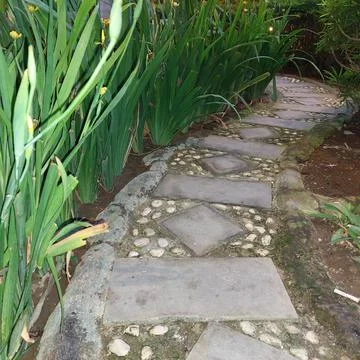 Path in the middle of the park Stock Photos