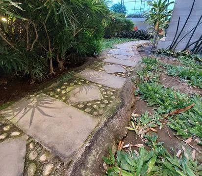 Path in the middle of the park Stock Photos