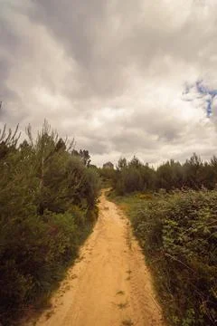 A path in the midle of the forest, Sintra Stock Photos