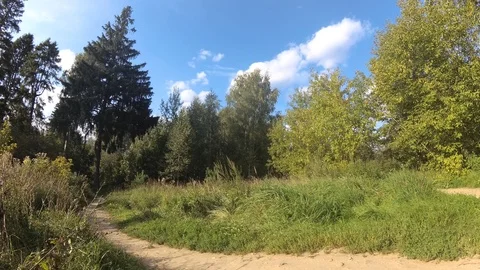Path in the mixed forest. Sky with clouds. Hiking concept Stock Footage 114682353