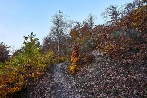 Path on Mountain Agnesberg Stock Photos