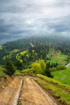Path to mountain forest. Stock-Fotos