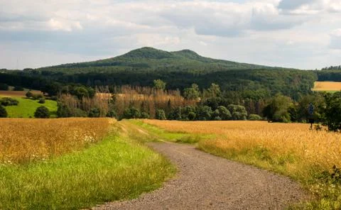 Path to the mountain in the middle of fields Stock Photos