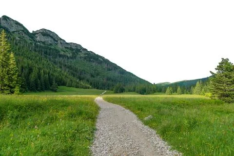 Path in a mountain valley. Isolated. Tatra Mountains, Poland. Stock Photos