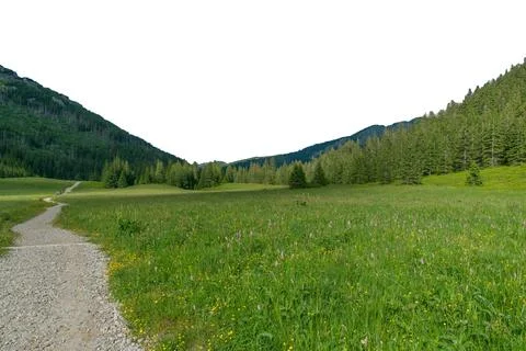 Path in a mountain valley. Isolated. Tatra Mountains, Poland. Stock Photos