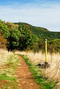 Path to the mountains Stock Photos