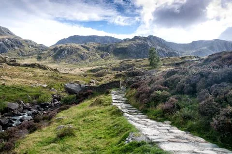 Path in the mountains Stock Photos