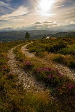 Path in the mountains Stock Photos