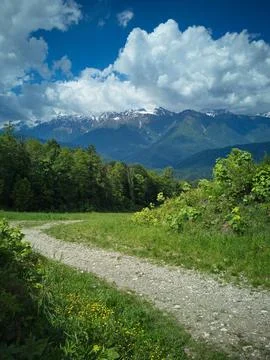 Path in the mountains Stock Photos