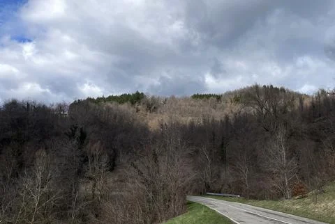 Path in the mountains Fotos Stock