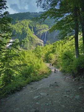 Path in the mountains to the waterfall Stock Photos