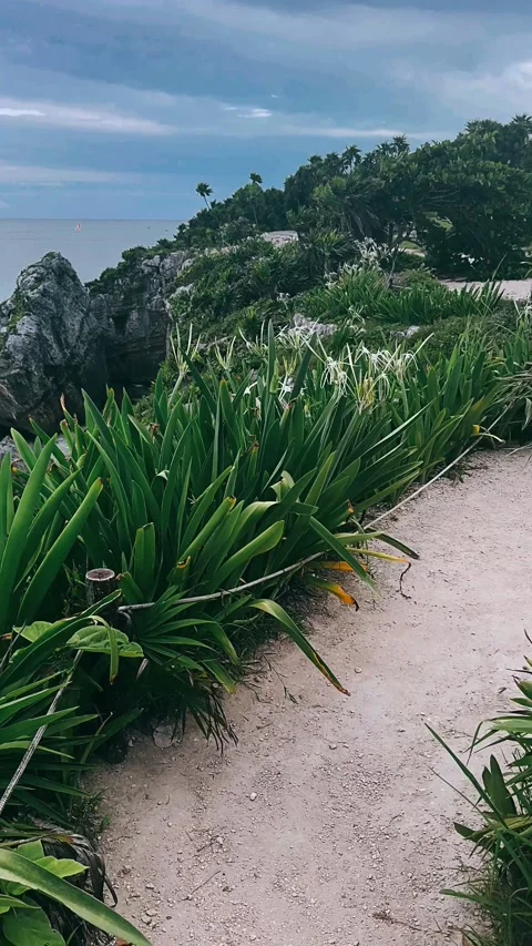 Path in the mountains,view of the sea from the mountain, sea, beach, Stock Footage 252298133