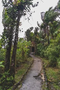Path to Mt Britton Lookout tower El Yunque National Forest Puerto Rico 스톡 사진