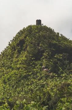 Path to Mt Britton Lookout tower El Yunque National Forest Puerto Rico Stock Photos