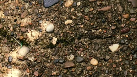 A path from multi-colored stones Stock Footage 78310050