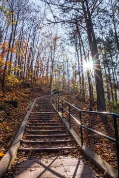 Path in natural park with autumn trees. Sunny autumn picturesque forest Stock Photos