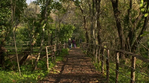 A path in a natural park Stock Footage 168182932