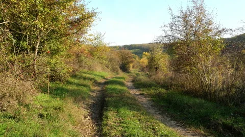 A path in nature in Autumn Stock Footage 145020760